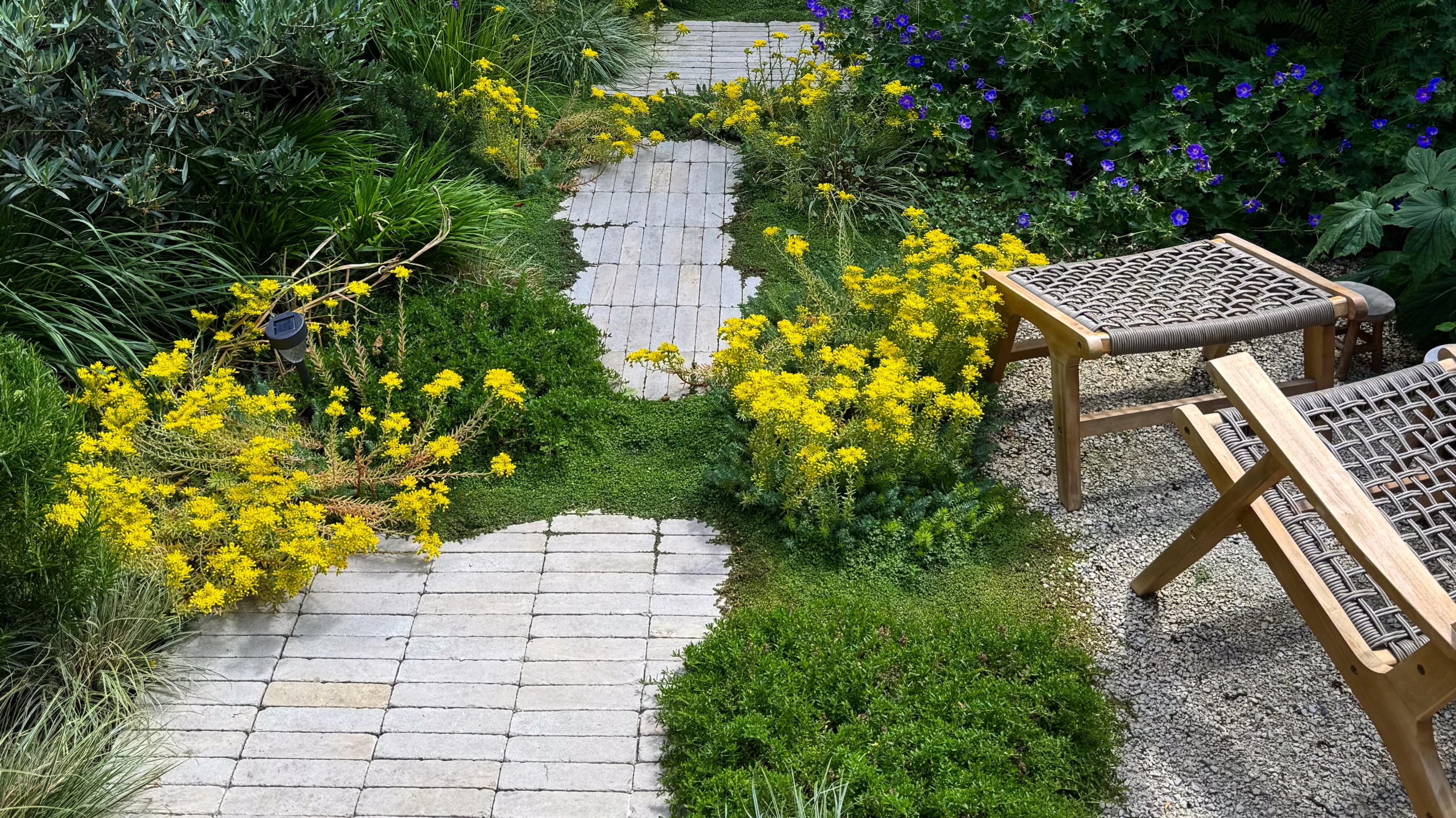 a garden with a stacked bond rectangular paver path