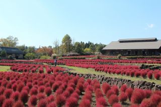 Miyagi - Michinoku Park