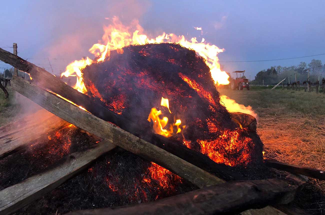 Fires lit in Bordeaux to help fight frost in April 2021