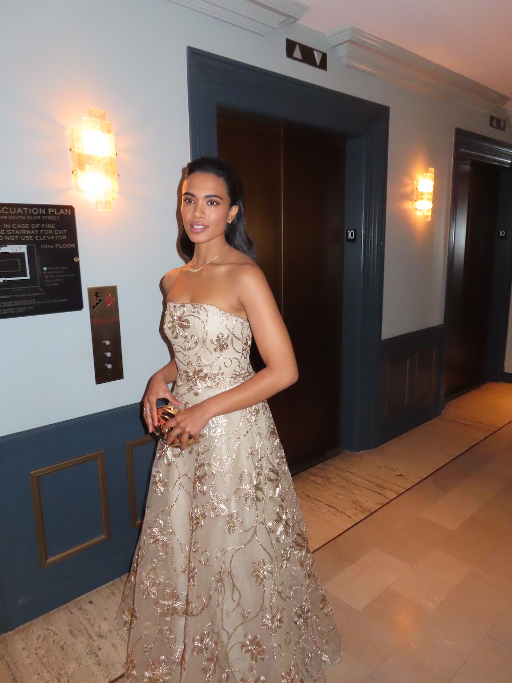 Supriya Ganesh in her Naeem Khan dress for the gold gala