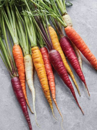 Carrot, Kaleidoscope Blend
