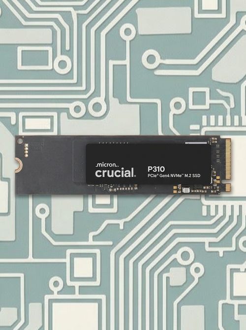 P310 1 TB NVMe PCIe Gen4