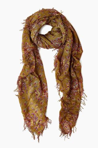 Lizard Paisley Cashmere and Silk Blend Scarf