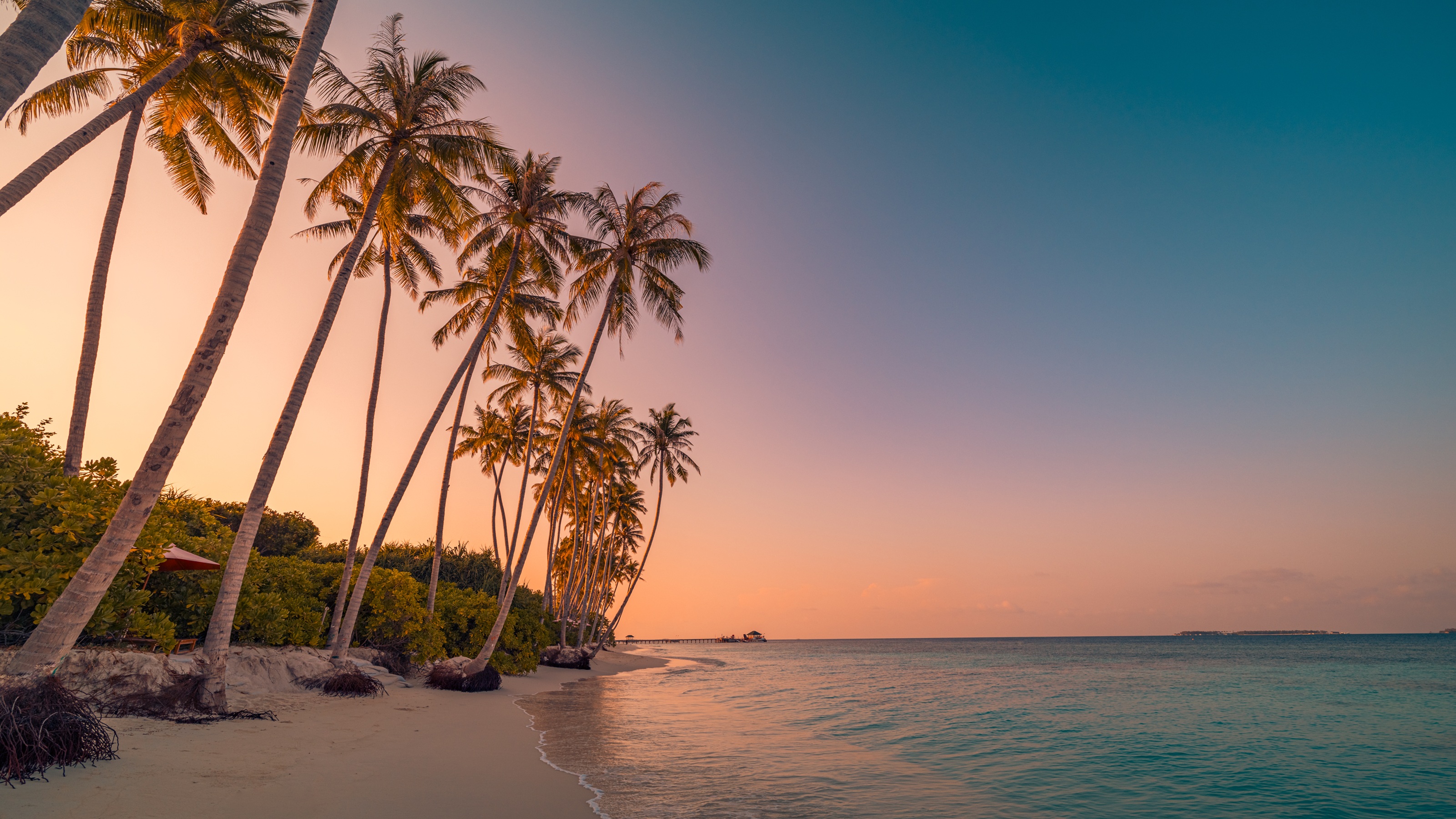 Sunset on a tropical beach.