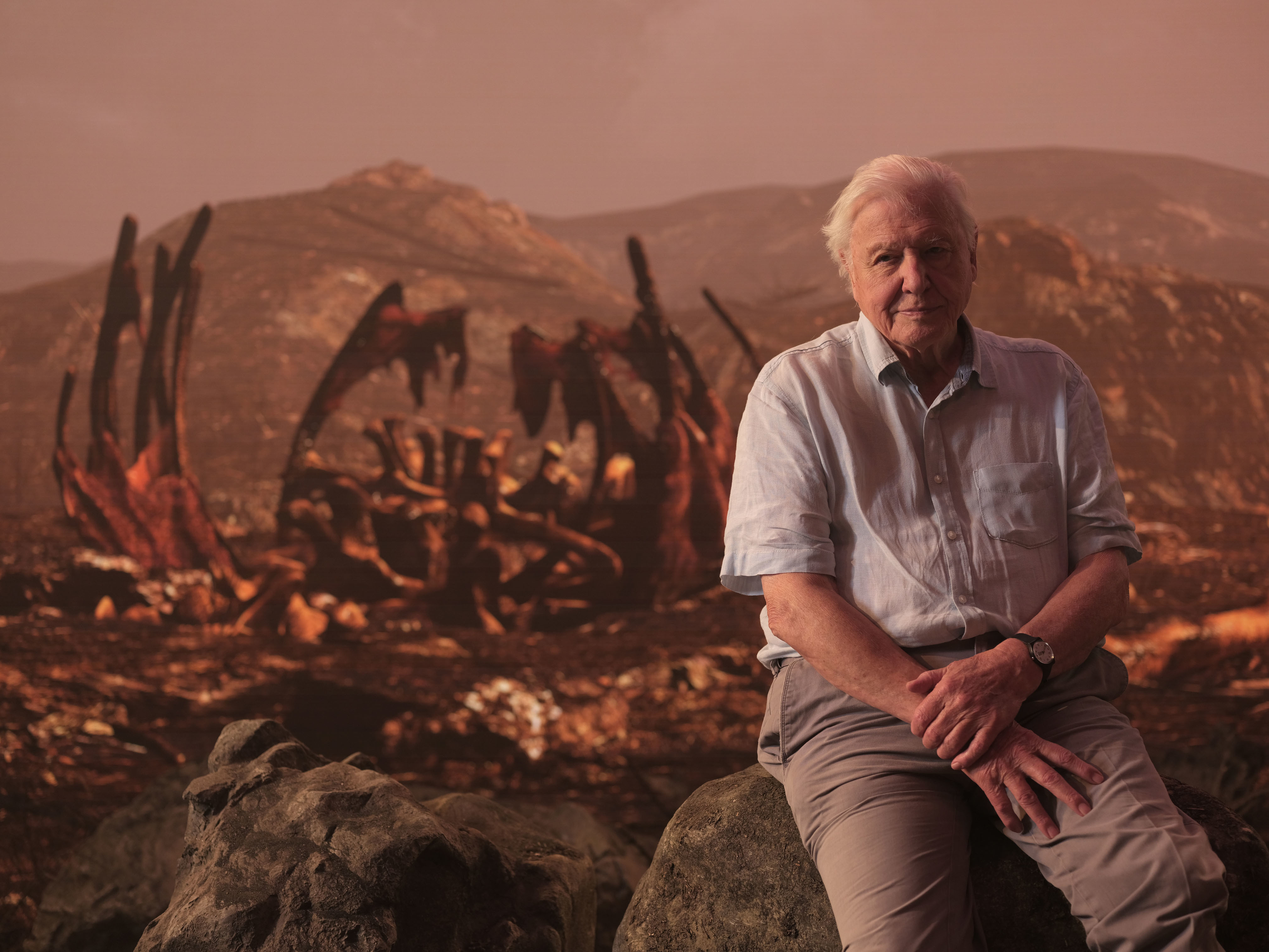 TV tonight David Attenborough presents.