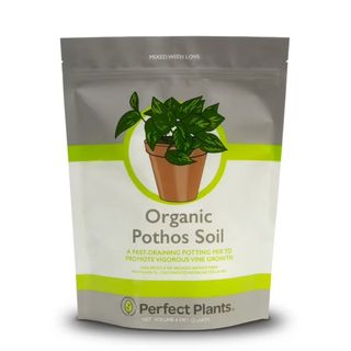 Organic Pothos Soil Potting Mix 