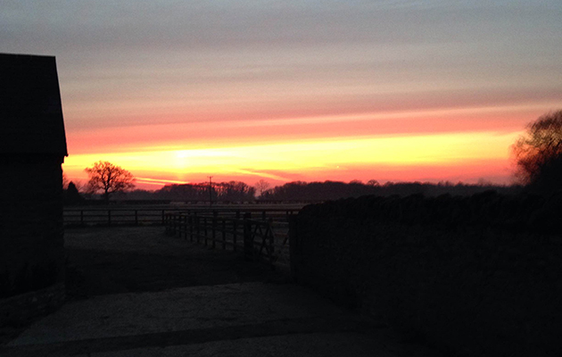A beautiful sunrise at home