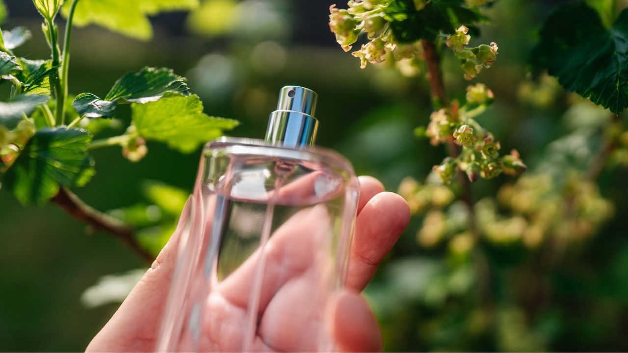 Best insect repelling perfumes