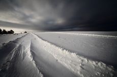 Winter snow