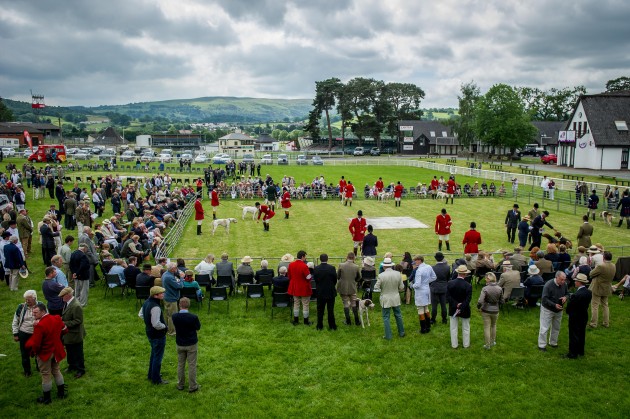 Builth Hound Show 25 06 2015