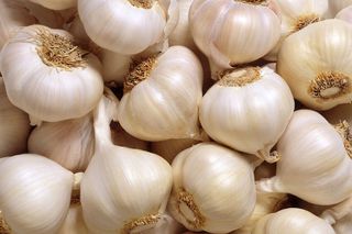 Garlic - the superfood