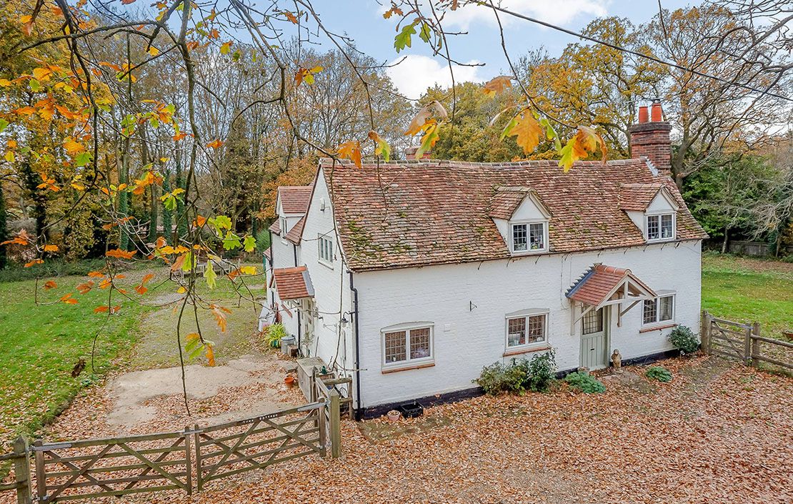 Tree Cottage