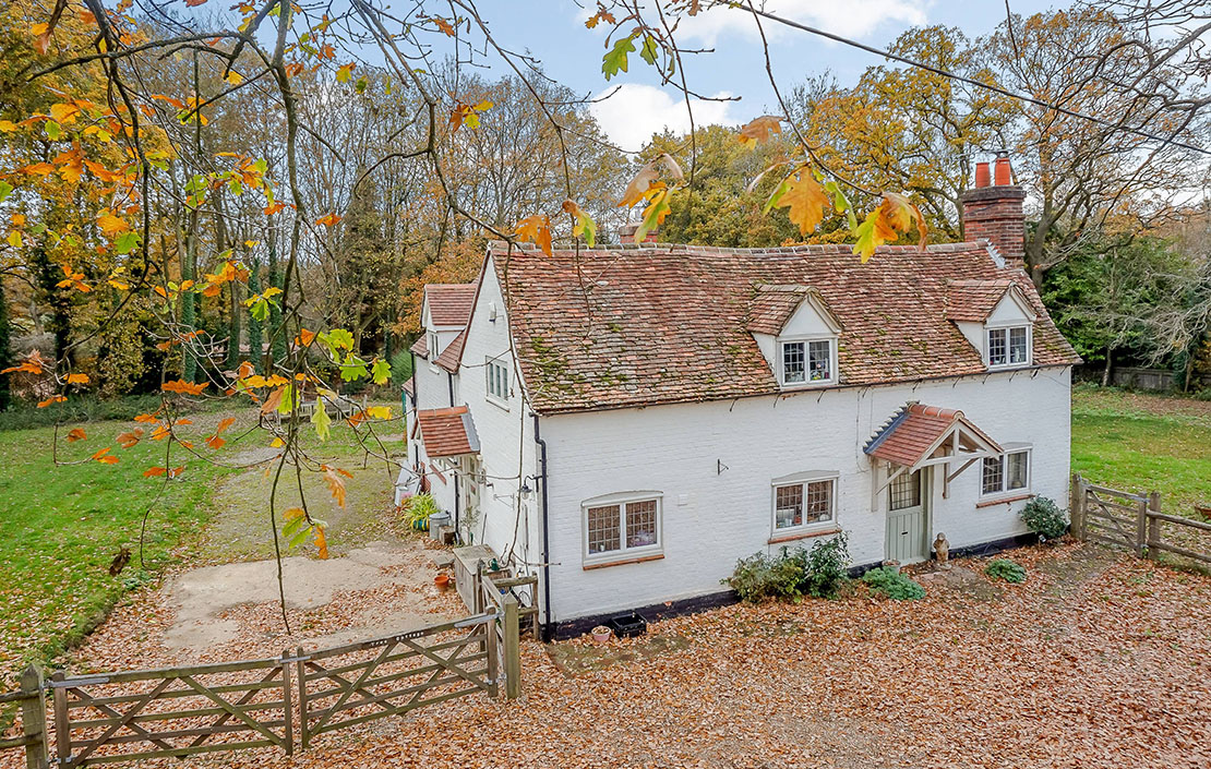 Tree Cottage