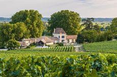 Ch&acirc;teau Bellefont-Belcier