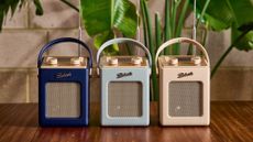 Three colours of Roberts Revival Mini 2 radios in front of a big green pot plant