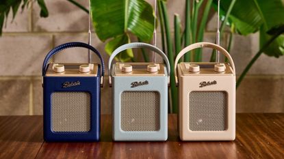 Three colours of Roberts Revival Mini 2 radios in front of a big green pot plant