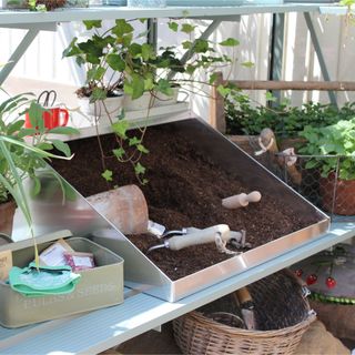 Trowel and garden tools in soil in potting tray in greenhouse at RHS Chelsea Flower Show 2023