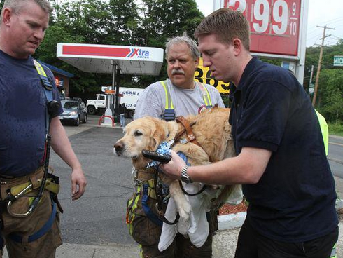 Figo being tended to by responders