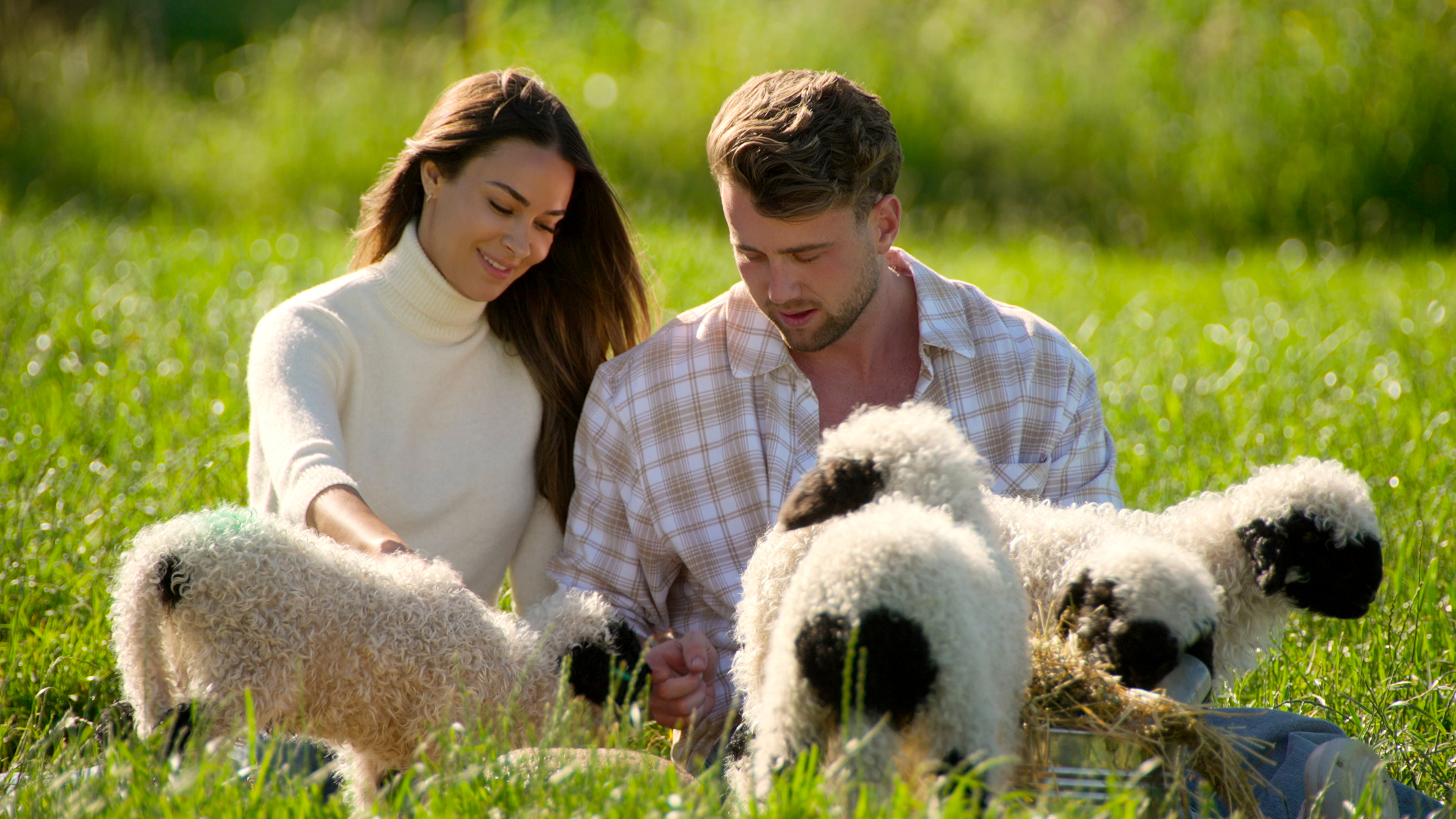 Dannelle Davidson and Harry Jowsey sit in a field playing with baby sheep, in Netflix's 'Let's Marry Harry.'