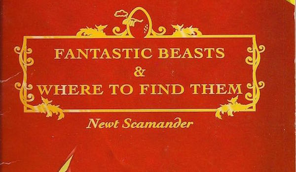 fantastic beasts book