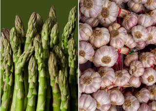 Asparagus (L) & Garlic (R)