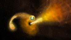 Bumblebee gravity could be proven true if scientists find that a black hole&rsquo;s shadow is smaller than existing physics theories would predict.