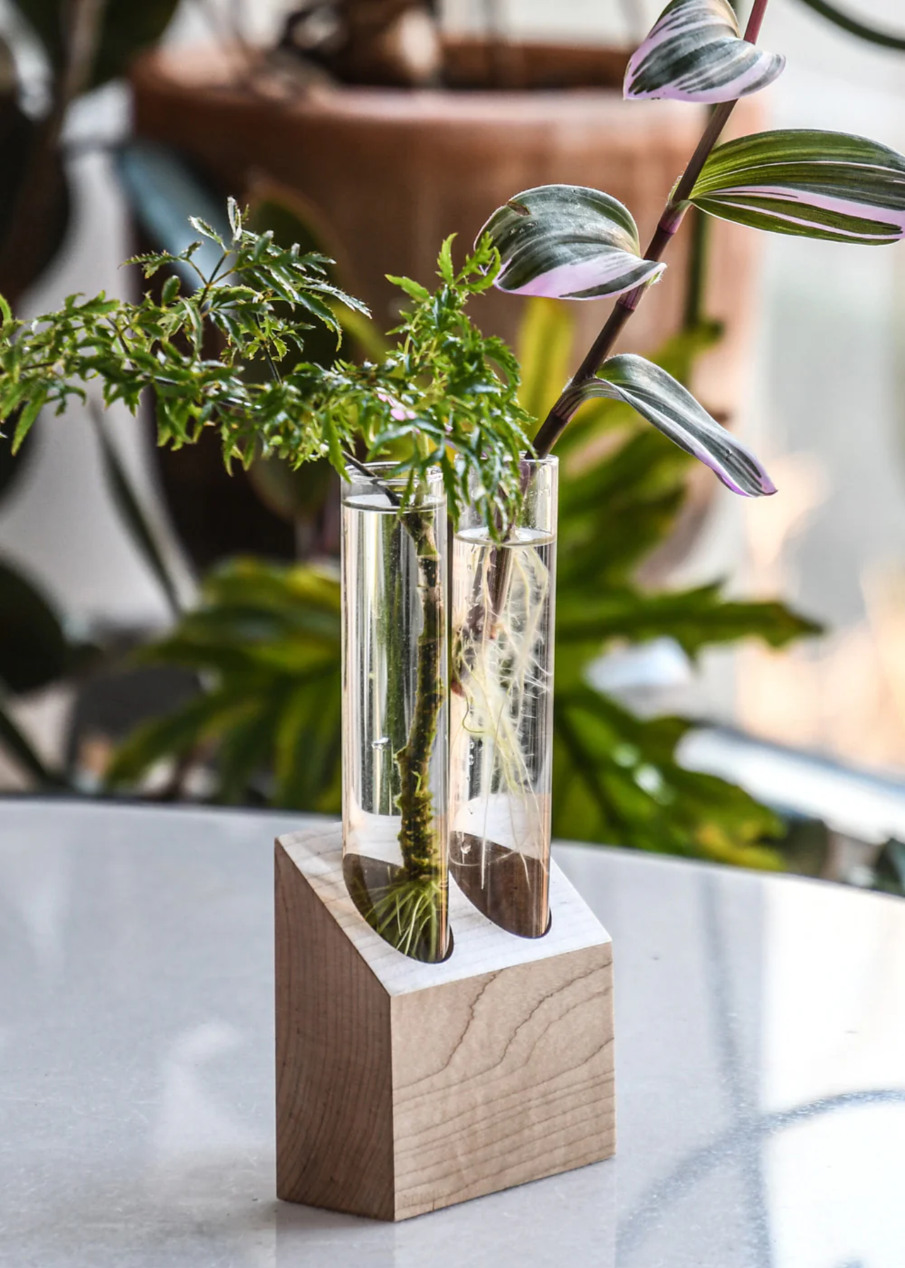 A set of two glass test tubes for plant propagation from Hilton Carter