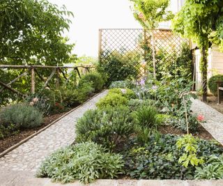 Vegetable garden plot
