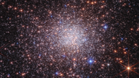 A bunch of stars against a dark background. They're mostly concentrated in the center.