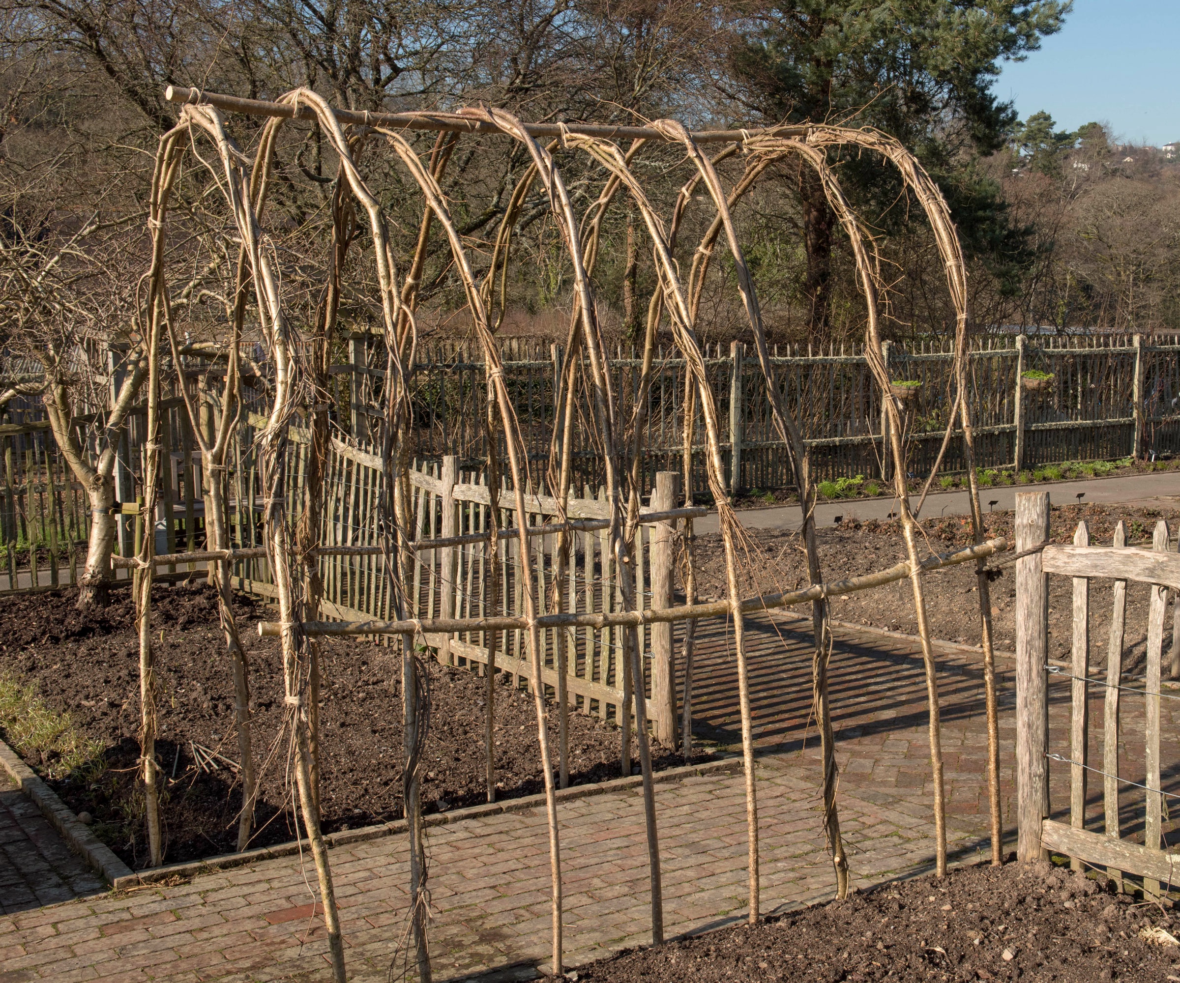 hazel wigwam plant supports in winter