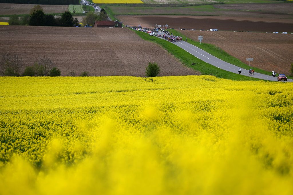 ROUBAIX FRANCE APRIL 07 A general view of the peloton passing through flowery landscapeduring the 121st ParisRoubaix 2024 a 2597km one day race from Compiegne to Roubaix UCIWT on April 07 2024 in Roubaix France Photo by Dario BelingheriGetty Images