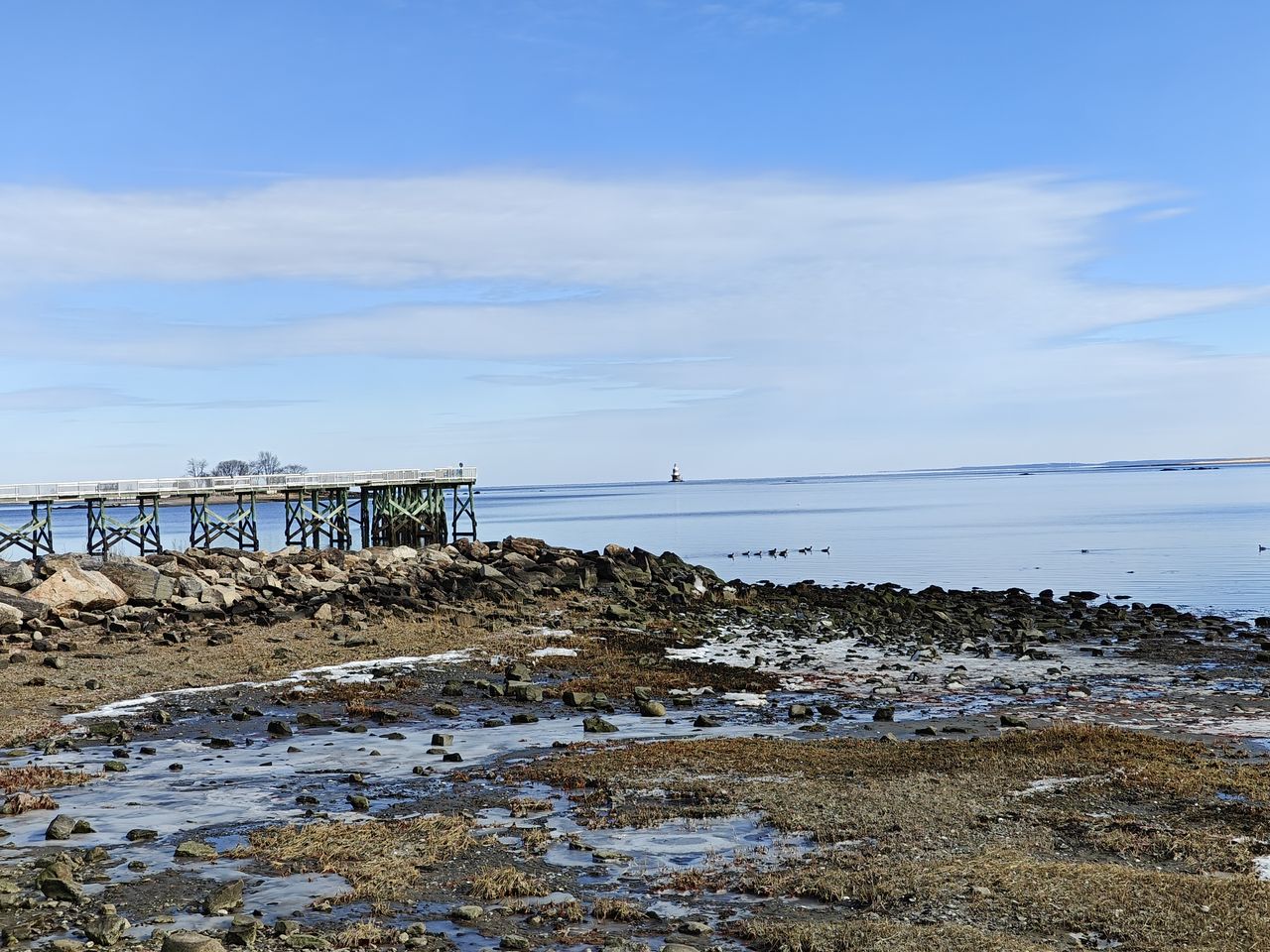 Sample photos taken with OnePlus 11