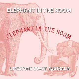 Packaging design for wine brand Elephant in the Room by Denomination