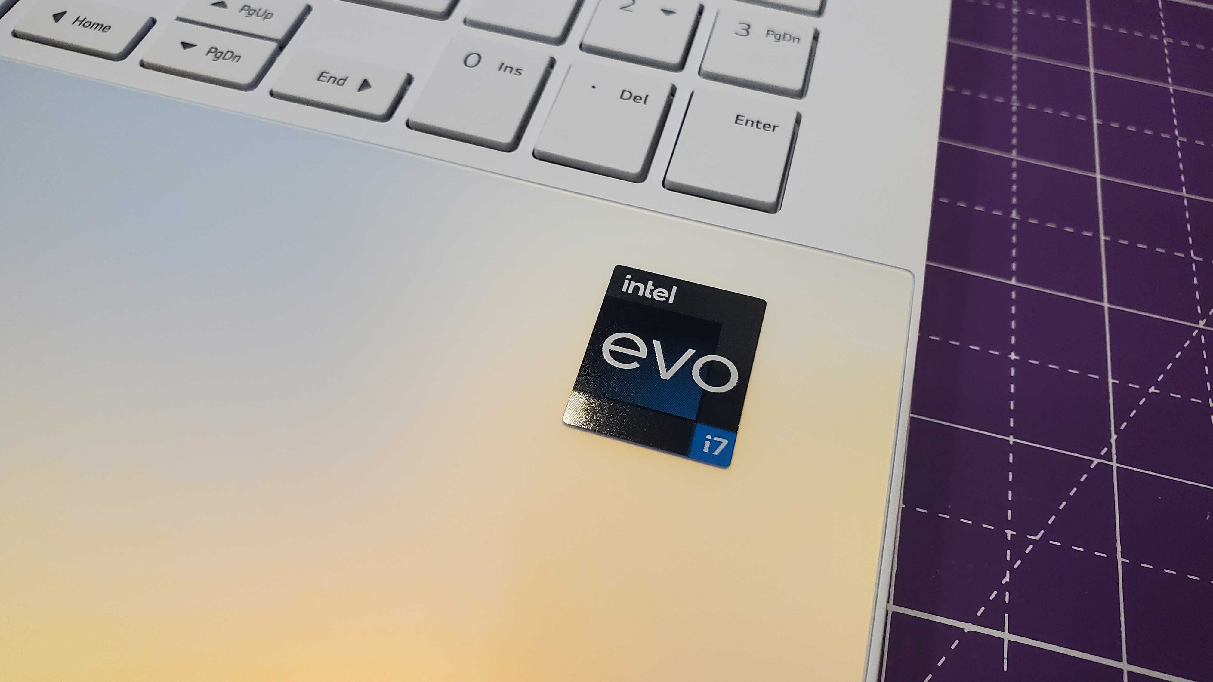 closeup of evo sticker