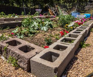 A cinder block raised garden bed