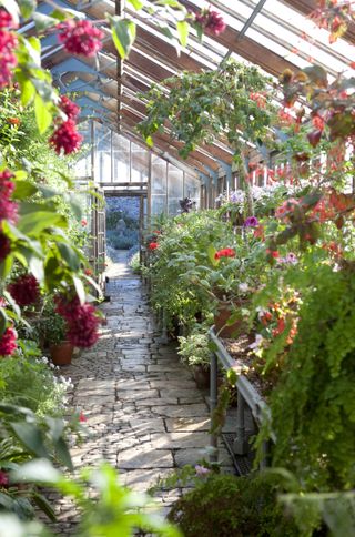 greenhouse gardening exotic plants