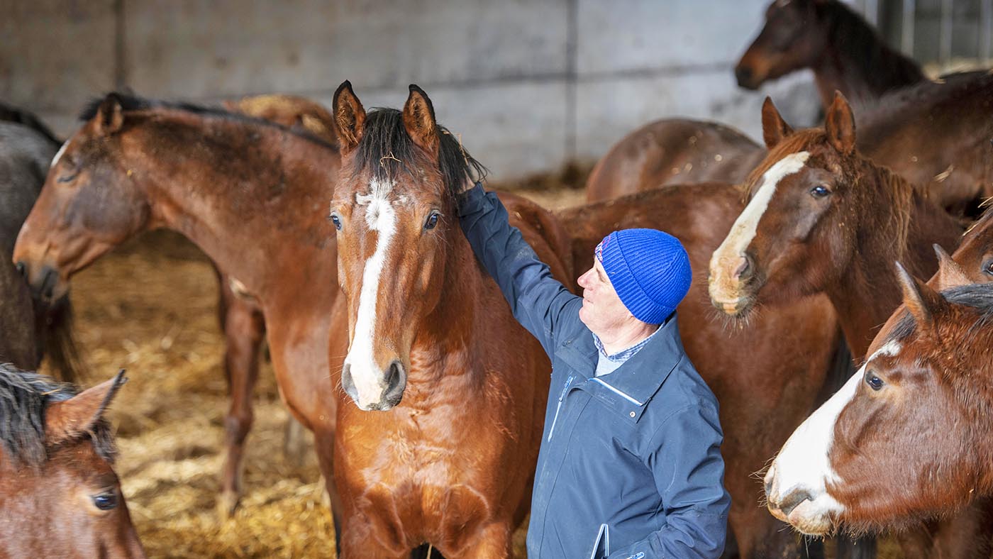 Pippa and William Funnell young horses photo shoot