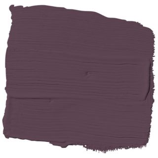 purple basilPPG1046-7