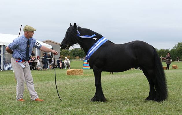 CUDDY SUPREME CHAMPION. 644&amp;#8232;BRACKLINN JACKPOT&amp;#8232;H: ALISTAR SMITH