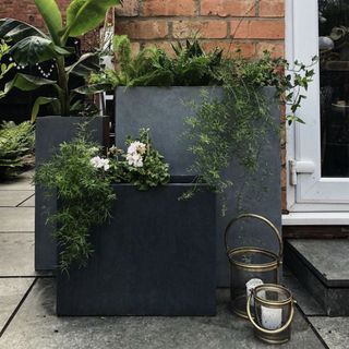 Trough Garden Planters IDEALIST Concrete Raised Outdoor Plant Pots with Drainage