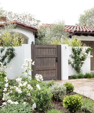 Verdant green and white front yard flower bed ideas flanking a wooden privacy gate.