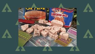 Best meat fishing bait: luncheon meat in a tin and cut up to be used as bait