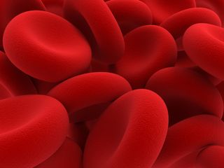 red blood cells, blood cells, blood