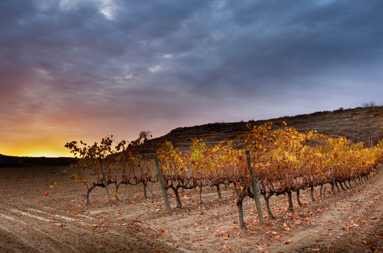 Rioja terroir diversity