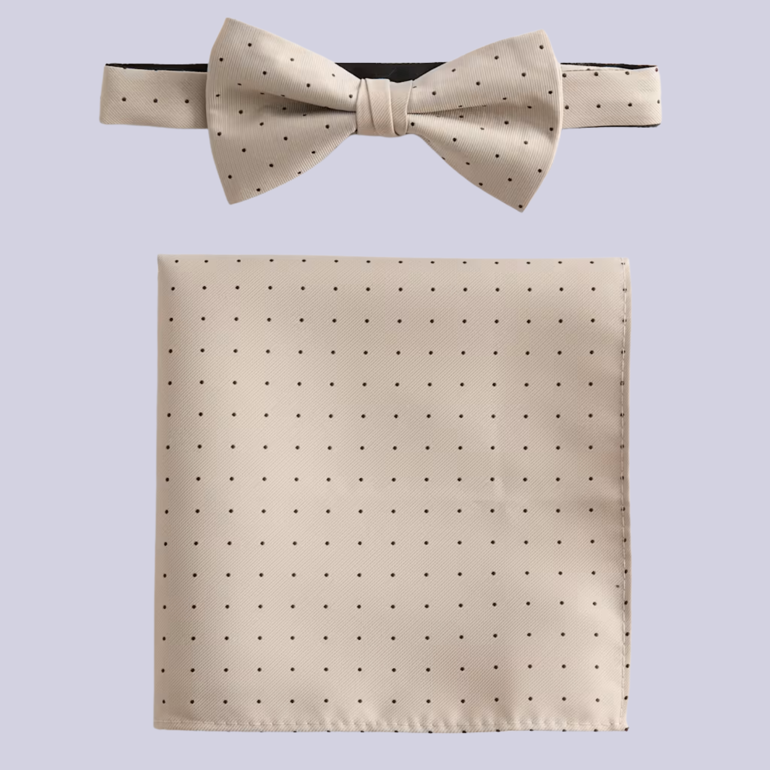 A polka dot bowtie and handkerchief set