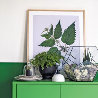 white wall with green cupboard and potted plant