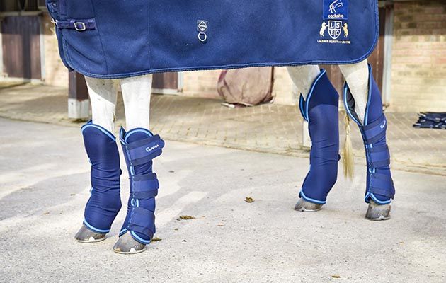 Shires ARMA Travel Boots review