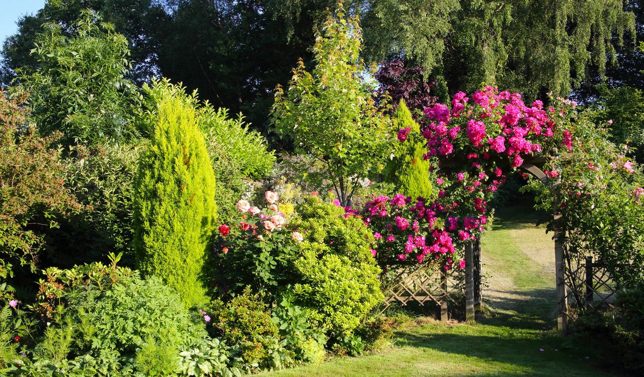 a pretty summer garden