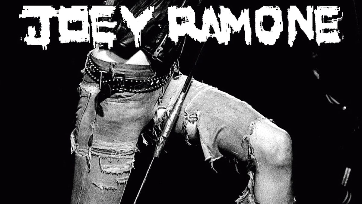 Joey Ramone ***ya Know? LP - 洋楽