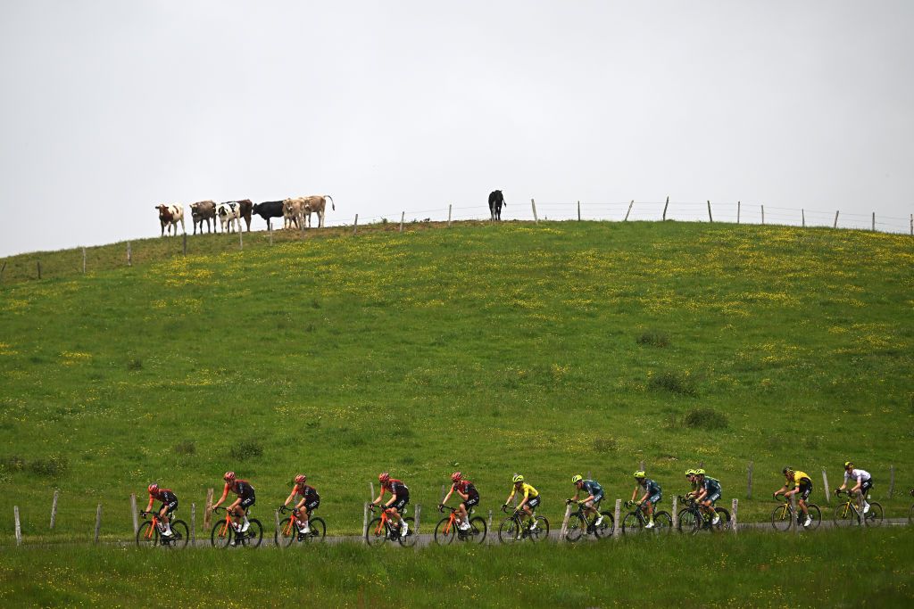 Peloton raced from Thones to Plateau des Glieres on stage 8
